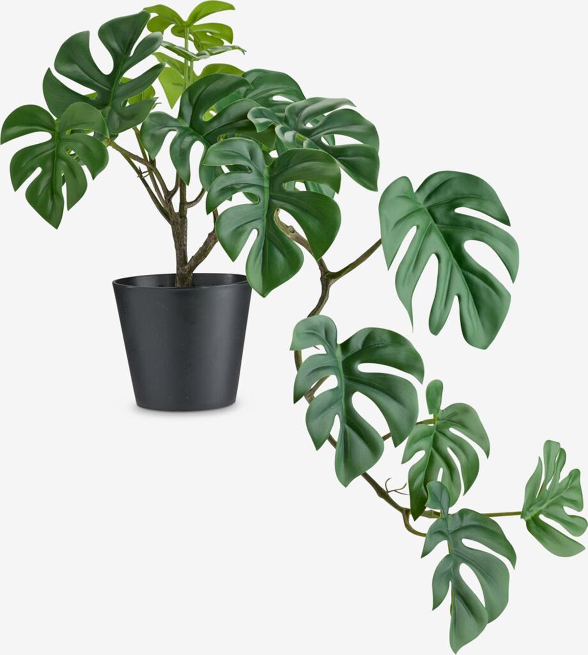 Bimë artificiale MADSEN L55cm gjelbër